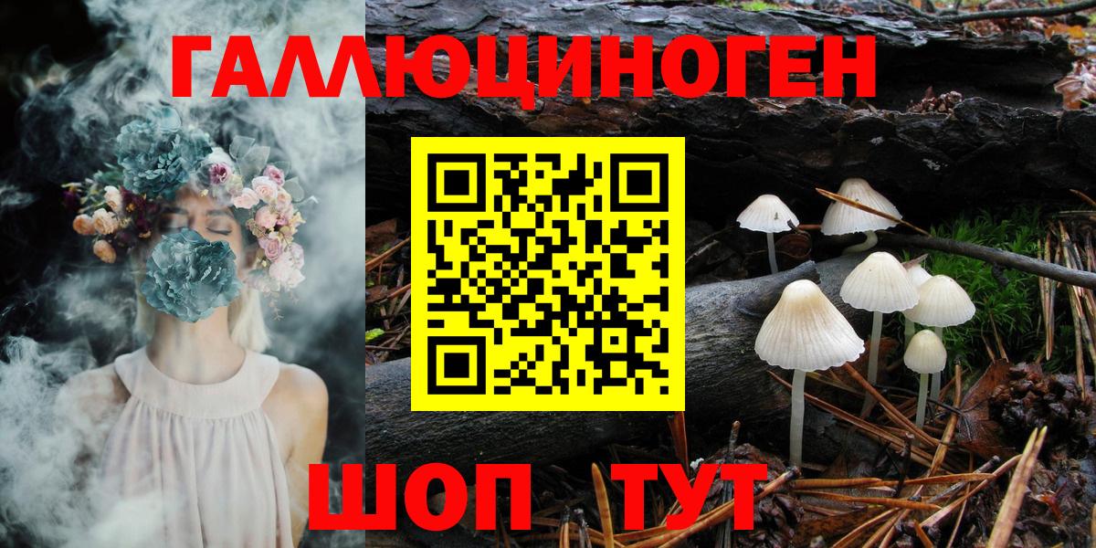 наркотики  Псилоцибиновые грибы Psilocybine cubensis  Вход с VPN  Моздок 